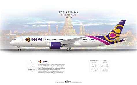 Thai Airways Boeing 787 9 Dreamliner Theaviationspotters Painting