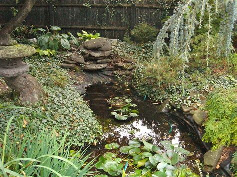 Backyard Waterfall Water Garden Pond Restoration Remodel Repair With
