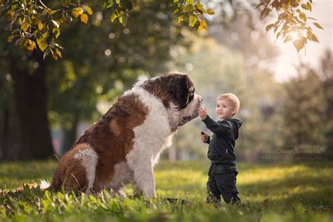 Little Kids And Their Big Dogs Shows The Magical Bond Between Kids