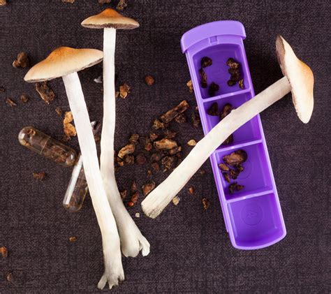 Are There Health Benefits Of Eating Magic Mushrooms Fifthavegreenhouse