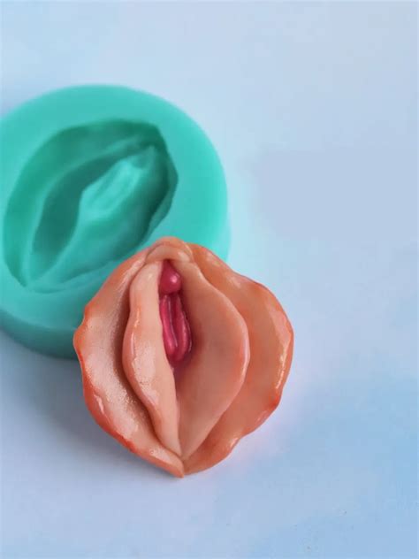 Vagina Mold Vulva Silicone Molds Polymers Clay Mug Diy 23 00 Buy