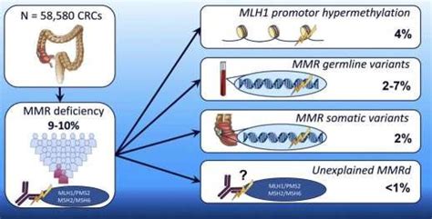 Mmr Genetic Alteration In Colorectal Cancers Download Scientific Diagram