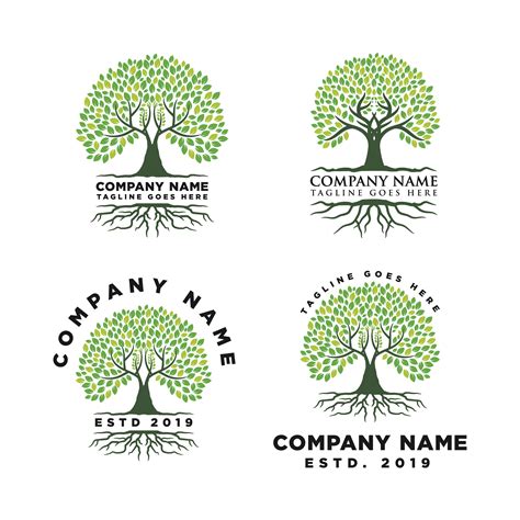 Root Of The Tree Logo Design Inspiration 834418 Vector Art At Vecteezy