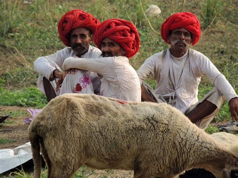 Nomadic Lifestyle Of Rajasthan Shepherd Family-2 ...