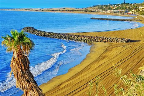 Plage De Playa Del Ingles Dans Maspalomas Mamie Canaria Espagne Image Stock Image Du Endroit