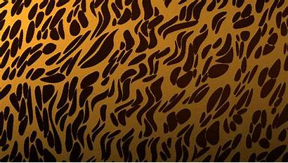 Animal Backgrounds Wallpapers Cheetah Leopard Digital Spot