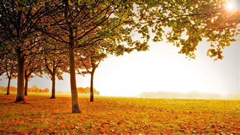 10 Best Beautiful Fall Scenery Images Full Hd 1080p For Pc Desktop 2021