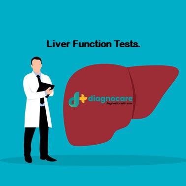 LIVER PROFILE Liver Function Test LFT DPlus Diagnocare