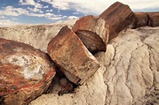Petrified Forest National Park: The Complete Guide