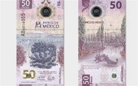 Banxico Presenta El Nuevo Billete De 50 Pesos Diario Basta