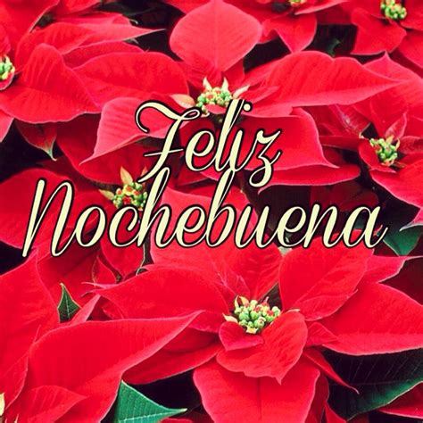 Bab.la is not responsible for their content. Un Nuevo Día on Twitter: "¡Feliz Nochebuena te desea tu familia de @unnuevodia! #bendiciones # ...
