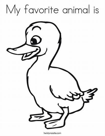 Coloring Favorite Animal Animals Duck Ll