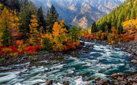 Mountain Stream In Autumn Hd Wallpaper Background Image