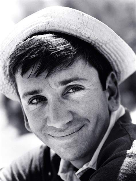 Bob Denver Pictures Rotten Tomatoes