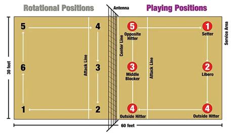 Positions In Volleyball And Their Responsibilities