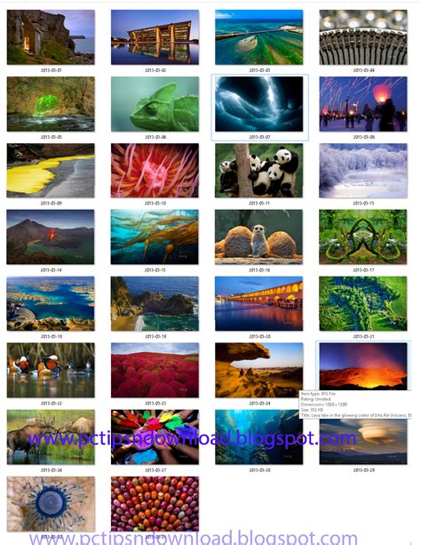 49 Bing Wallpaper Collections Wallpapersafari