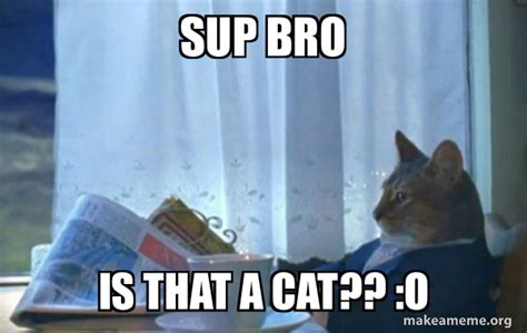 Sup Bro Is That A Cat O Sophisticated Cat Make A Meme