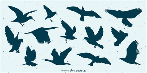 Flying Bird Vector And Graphics To Download