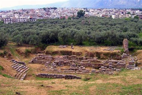 An Aerial View Of The Ancient City Of Pompei With Olive Trees In The