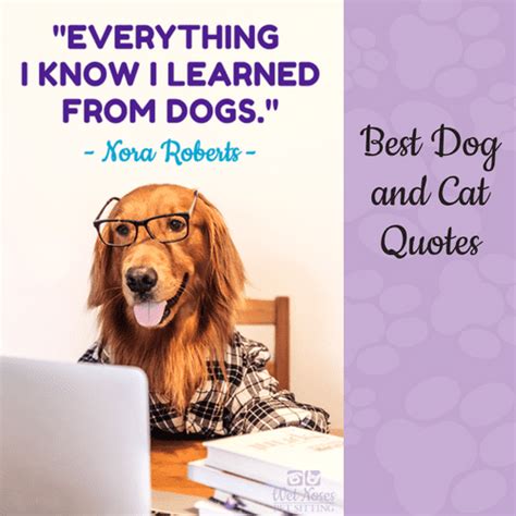 Best Dog And Cat Quotes Wet Noses Pet Sitters