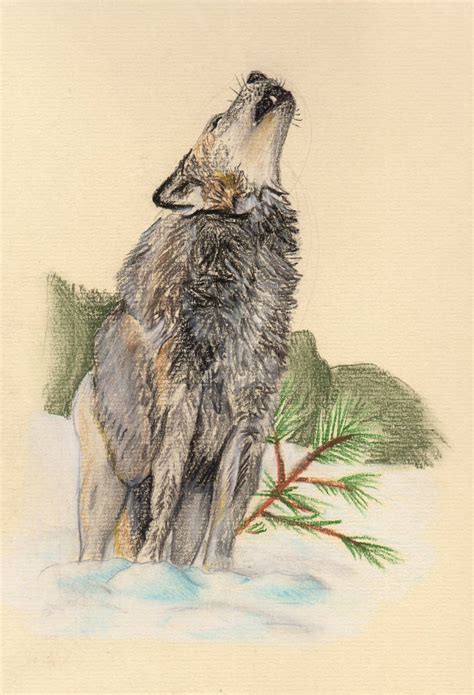 Howling Wolf Pastel Art By Wolfwhisperer123 On Deviantart