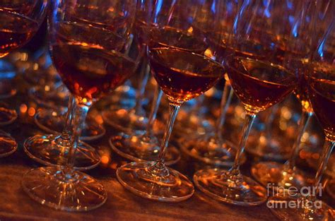 Raise Your Glasses Photograph By Kevin Ste Marie Fine Art America