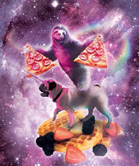 Space Pizza Sloth On Pug Unicorn On Waffles Digital Art By Random Galaxy Pixels
