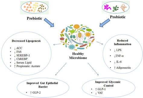Contribution Of Gut Microbiota To Nonalcoholic Fatty Liver Disease