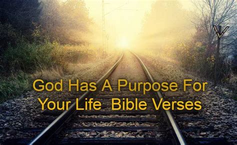 God Has A Purpose For Your Life Bible Verses Kjv