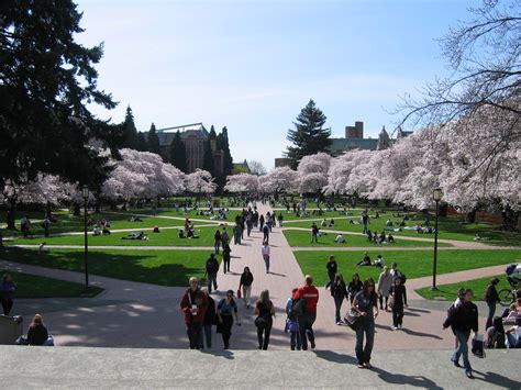 University Of Washington Raiting Pros And Cons