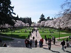 University of Washington | Raiting Pros and cons