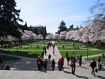 University of Washington | Raiting Pros and cons