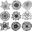 black and white pictures of flowers to print free - Google Search ...
