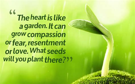 What Seeds Are You Planting In Your Heart Especially When It Comes To Yourself Inspiration Thurs