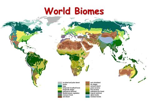 Ppt World Biomes Powerpoint Presentation Free Download Id852675
