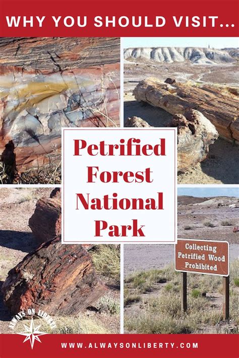 Why You Should Visit Petrified Forest National Park And The Painted