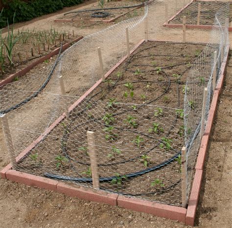 If the size of your garden is such that a traditional raised bed will not suffice. CO-Horts: May 2013