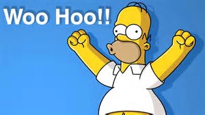 Image result for Homer Simpson Woo Hoo