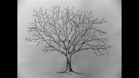 Realistic Tree Drawing Easy Drawing Art Ideas