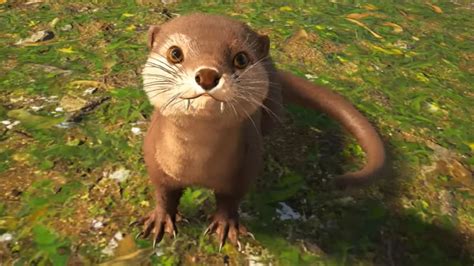 How To Find And Tame Otters In Ark Survival Evolved Gamepur