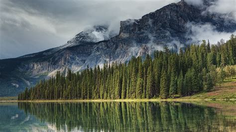 Canada Lake With Fir Trees And Clouds Touching Mountain 4k Hd Nature
