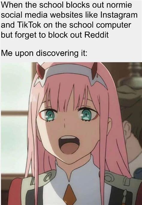 Dank Anime Memes Reddit Bahahahahaha These Anime Memes Are Insane