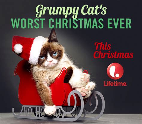 Grumpy Cat Getting A Lifetime Christmas Movie Because Of Course She Is