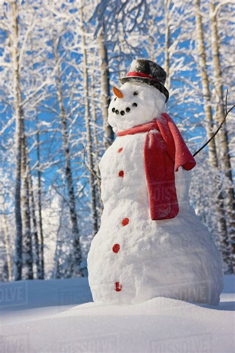 Snowman With Red Scarf And Black Top Hat Standing In Front Of Snow