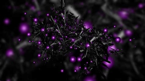 100 Black And Purple Wallpapers