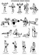 Weight Training Exercises Names Pictures