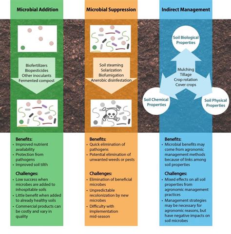Management Of Soil Microbes On Organic Farms Eorganic