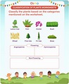 Classification Of Plants Worksheet - Photos