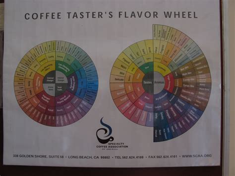 Coffee Flavor Wheel Scaa Kruwb