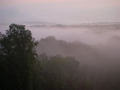 Morning Mist Photograph By Katie Jones Fine Art America